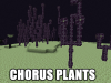 chorus-plants